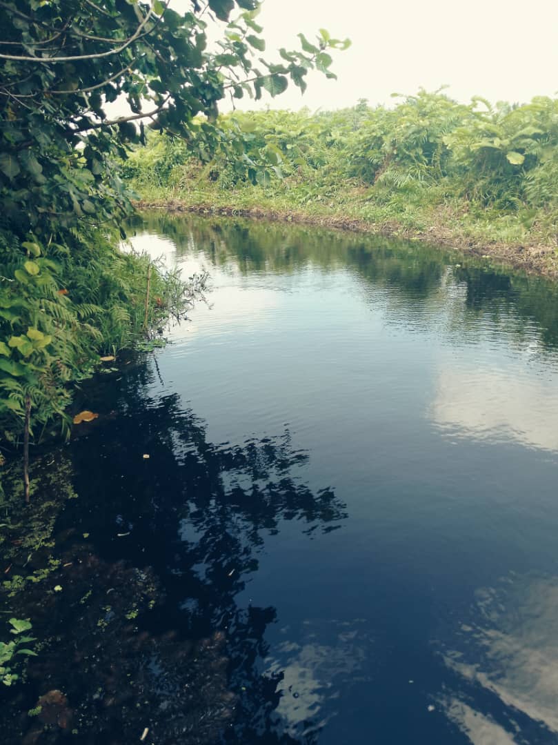  Biodiversity Conservation